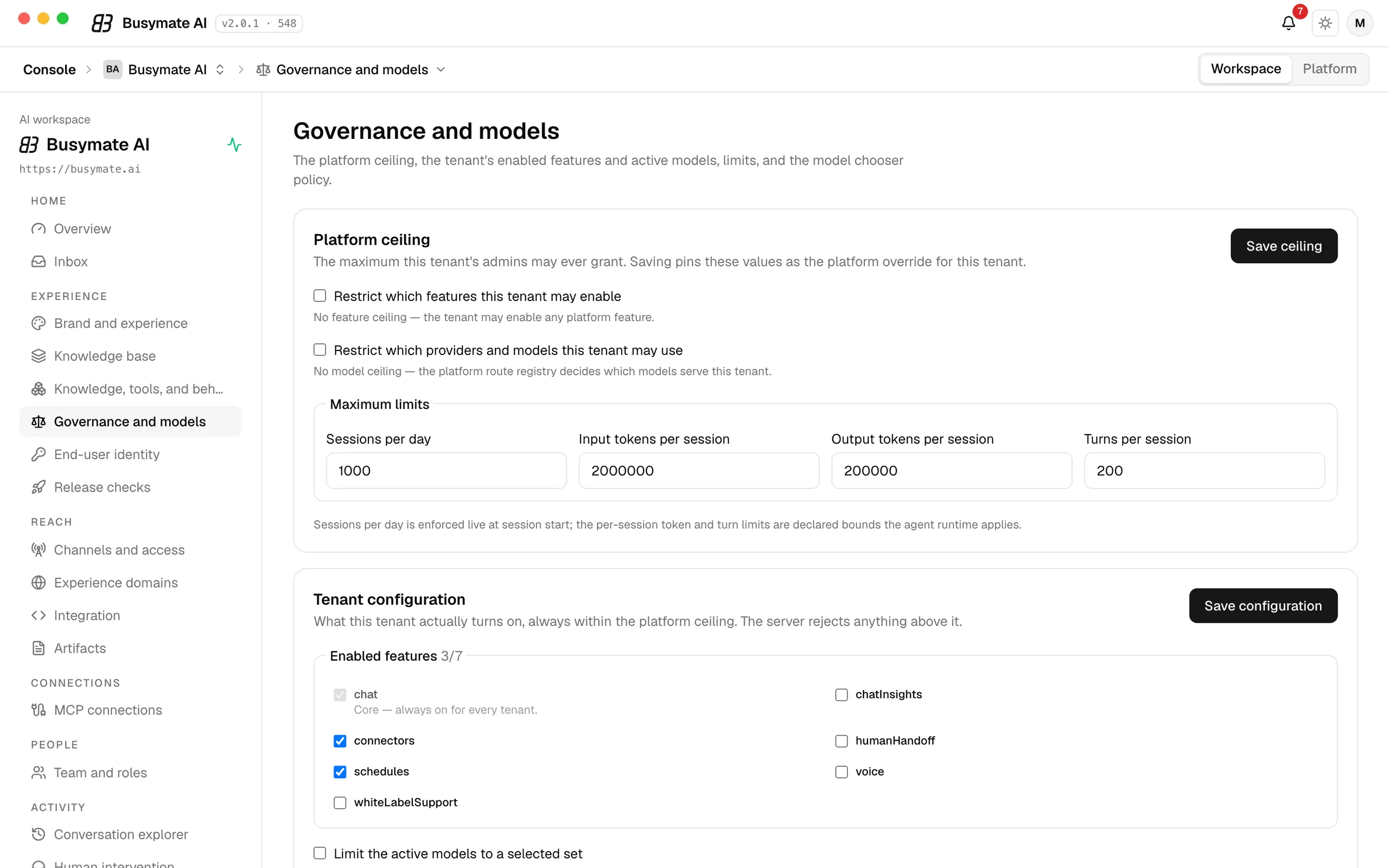 Governance and models: the platform ceiling, maximum sessions per day and tokens per session, and the enabled features of the workspace.